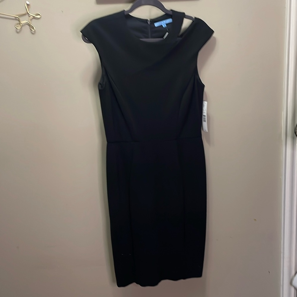 NWT Antonio Melani Dress 6